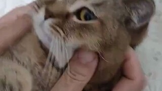 被生活磨去了棱角