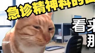 【Cat meme】Daily life in emergency psychiatry IV (5)