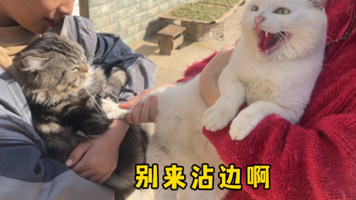 They’re arguing again—just for Grandpa!