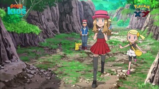 pokemon xy 57  (241) h