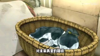 رحلة جوجو الغريبة