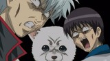 迟早笑死在Gintama 哈哈哈哈哈哈哈哈哈哈哈哈哈哈哈哈哈哈哈哈哈哈哈哈哈哈哈哈哈哈哈哈哈哈哈哈哈哈哈哈哈·哈哈哈哈哈哈哈哈哈哈哈企业文化』