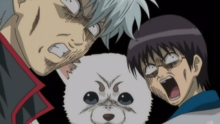 迟早笑死在Gintama 哈哈哈哈哈哈哈哈哈哈哈哈哈哈哈哈哈哈哈哈哈哈哈哈哈哈哈哈哈哈哈哈哈哈哈哈哈哈哈哈哈·哈哈哈哈哈哈哈哈哈哈哈哈哈哈哈哈哈哈哈哈哈『企业文化』