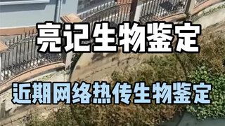 【การระบุทางชีวภาพของ Liangji】คอลเลกชันทางชีววิทยาที่ได้รับความนิยมล่าสุดบนอินเทอร์เน็ต