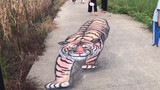 The dog saw the tiger painting scared to move, funny!