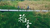 《稻香》因你而香，用民乐的方式送别袁隆平先生。