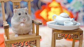 Ảnh chụp năm mới mèo chuột kết hợp với điệu nhảy lắc vai! Đúng chất rồi～