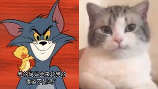 猫和老鼠，诚不欺我！！！