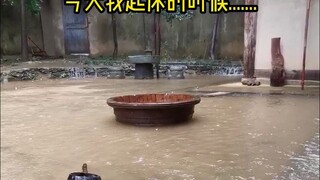 فناءي الصغير، استيقظت ذات يوم فوجدته قد اختُطف بالكامل...