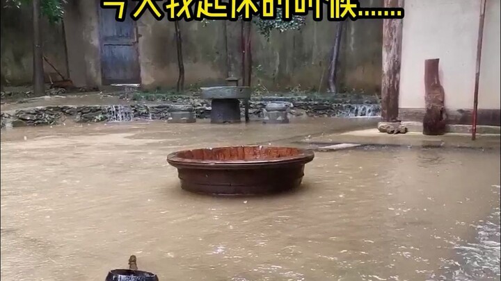 فناءي الصغير، استيقظت ذات يوم فوجدته قد اختُطف بالكامل...