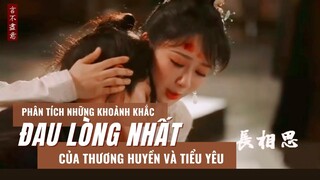 Trường Tương Tư: Những khoảnh khắc nghẹn lòng nhất của Trương Vãn Ý và Dương Tử