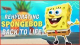 Yelling About Spongebob Battle For Bikini Bottom Rehydrated