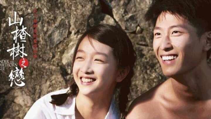 Under the Hawthorn Tree (2010) ~Subtitle Indonesia~