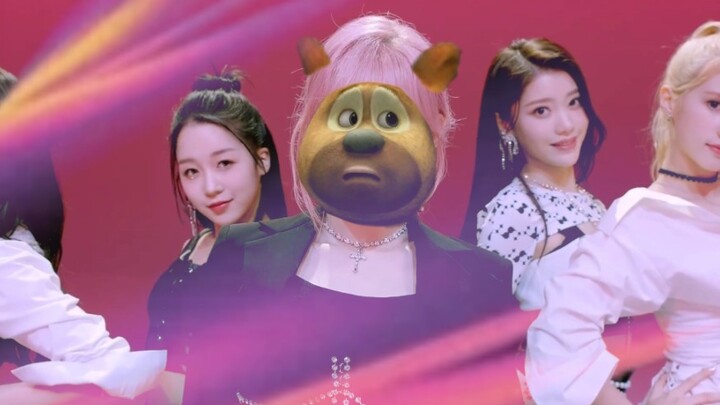 เวอร์ชันหมีสองของวา ดา ดา เปิดตัว—(ว้าดาดาดา