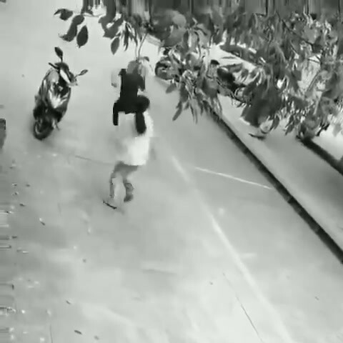 Cuộc sống giống như một khu rừng rậm, đầy rẫy những cuộc chiến giành giật và phản công