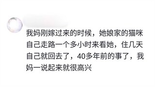 原来小猫小狗也会走亲戚呀！