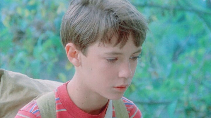 When I watched The Big Bang Theory, I never thought he was so handsome when he was a child.