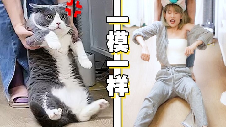 Which poses look adorable on cats but totally ridiculous on humans? (Part 2)