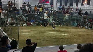 sp Rowell Amano Nov 4 2025 Kawit ARENA