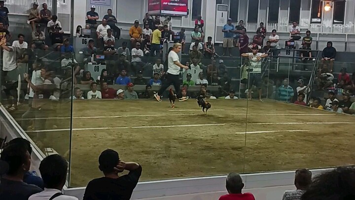 sp Rowell Amano Nov 4 2025 Kawit ARENA