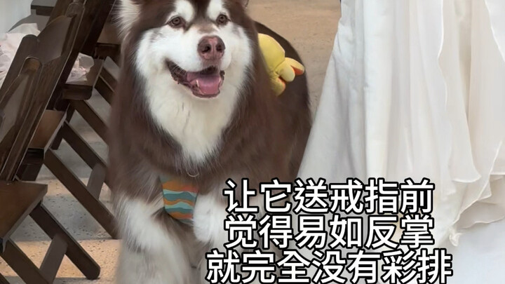 لا تقلق، ألسكا هدية الخاتم حتمًا ستفسد الأمر!