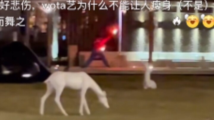 Siapakah seniman bela diri dari Tianjin ini? Silakan klaim postingan Weibo