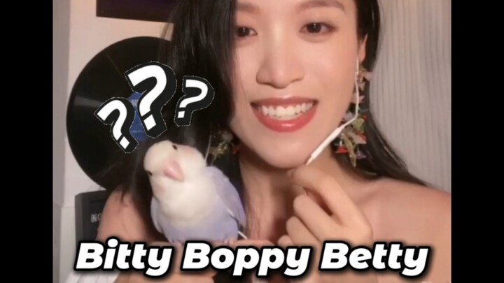 ร้องเพลงไม่ใช่เรื่องง่าย นกตัวเล็กจะมาทำหน้าแบ๊ว? Bitty Boppy Betty รีเมคเพลง