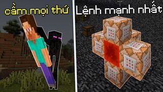 10 Điều Kỳ Lạ Đã Từng Tồn Tại Trong Minecraft