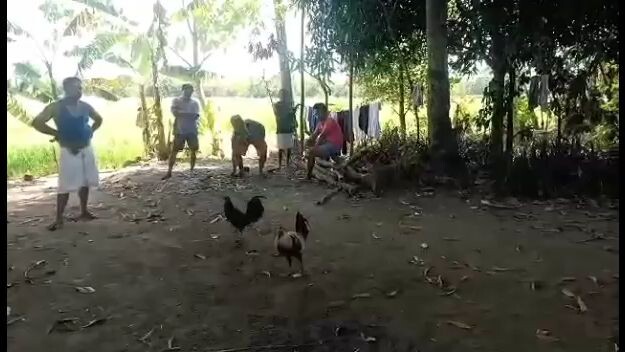 the spartan gray 3 rd fight