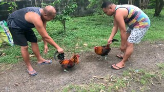 butaw Muna