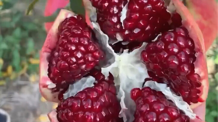 Cách cắt trái cây đúng cách