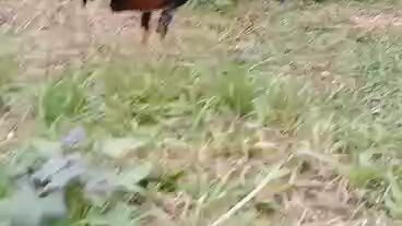 isog na kaau.4 mnths p gni