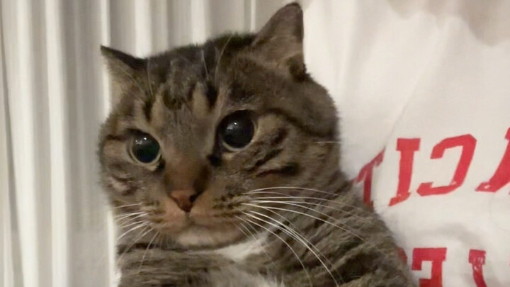 At 8 years old, why are my ears still so small?
