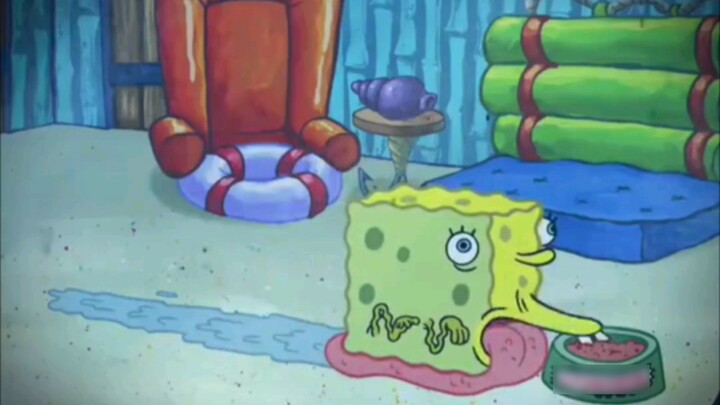 "Spongebob Squarepants"