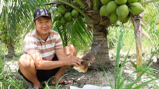 Rồi tới luôn. Măng hầm giò heo. Bin Đen nhìn thèm - Bin Đen Miền Tây # 217