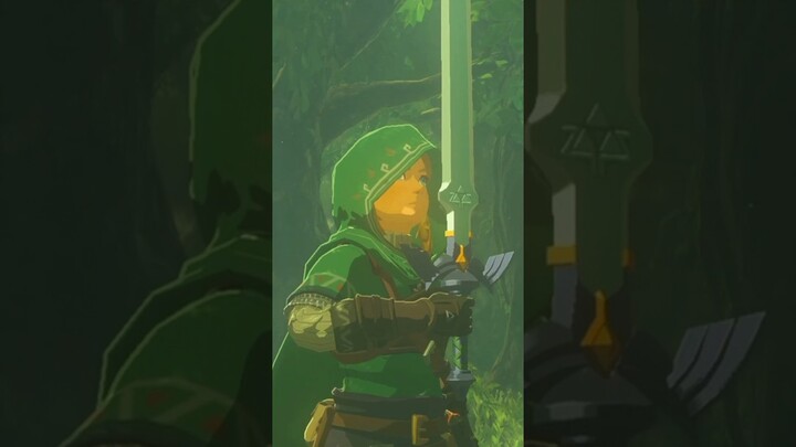 Legend of Zelda: Breath of the Wild | The Hero's Sword Quest | Master Sword ⚔️