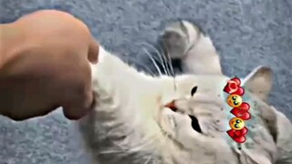 😍cute 🤗