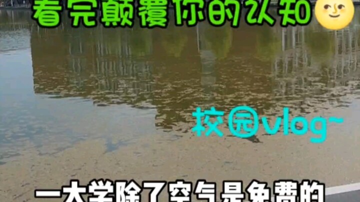 เรื่องที่เพิ่งรู้ตอนเข้ามหาวิทยาลัย