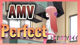 Perfect AMV