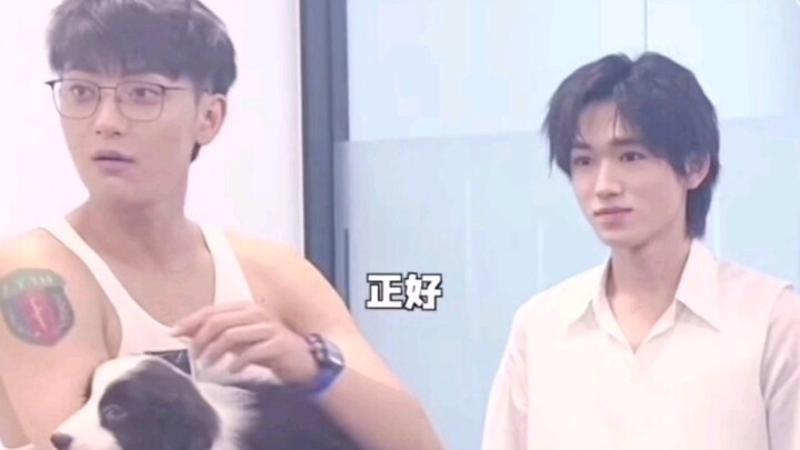 [When Mom Loves Flowers Gets Pulled by Flowers] Help! Haha, I can't stop laughing!