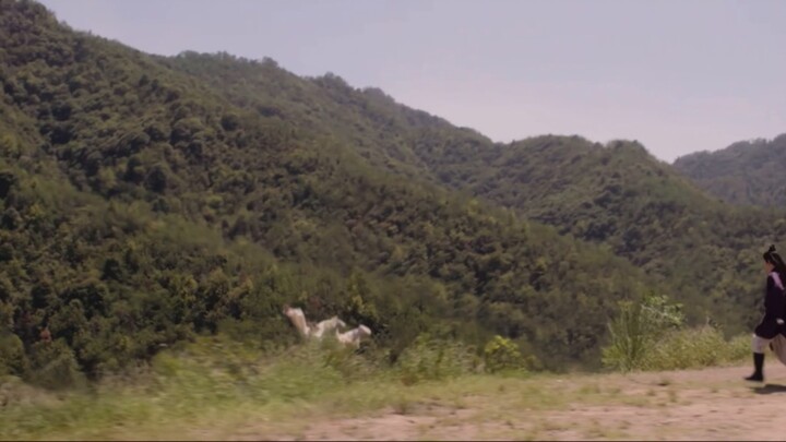 [Kính hiển vi] Gia đình tôi, những người hiểu biết, tôi thực sự thích cảnh hoa sen rơi trên thuyền.