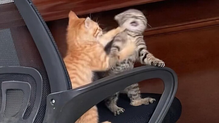 Only cute people can see this!