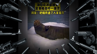 海豹说，您礼貌么