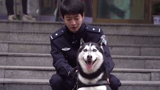 الشرطة التي اشتهرت على الإنترنت بين ليلة وضحاها