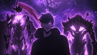 Solo leveling niru one punch man?