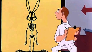 The rabbit was forcibly recruited into the army, and its X-ray shocked the doctor! !