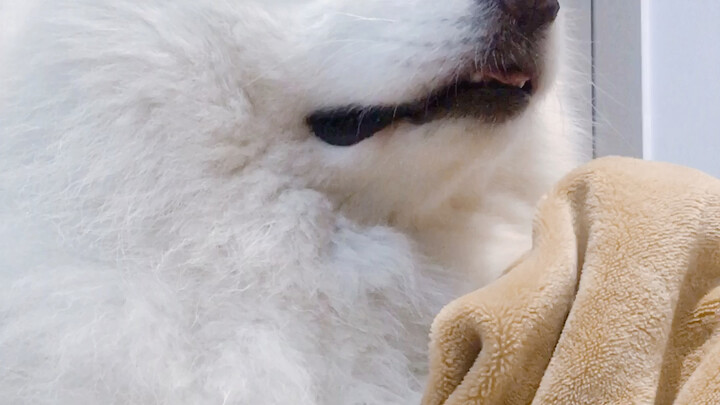 I’m so cute I don’t dare to speak.