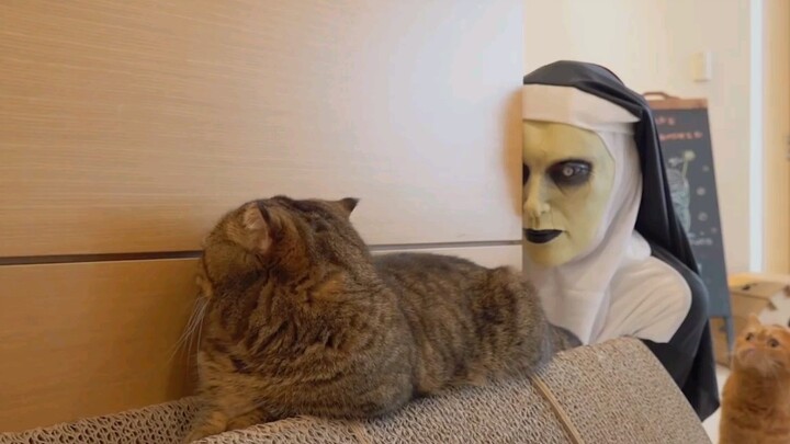 Apa yang terjadi setelah Lulu melihat biarawati hantu?