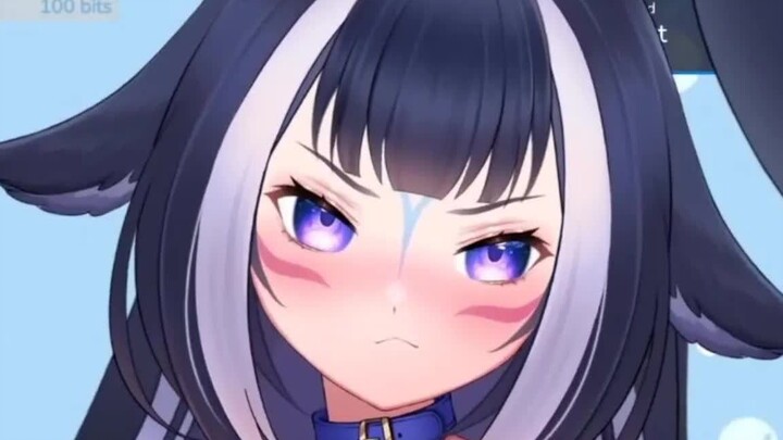 Lily the killer whale pretending to be angry