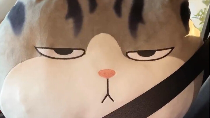 คุณอ้วนและหยิ่งขนาดไหนกัน ถึงขนาดทำให้กระเป๋าบิดเบี้ยวไปหมดแล้ว